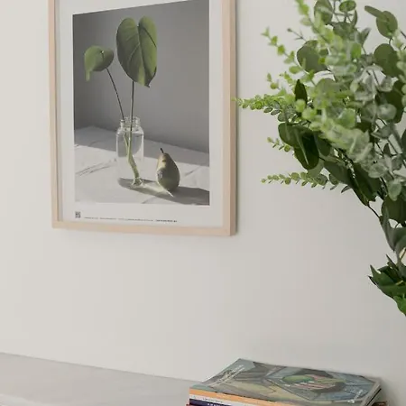 Aurora Terrace Apartman